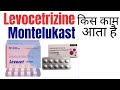 Levocetrizine hydrochloride and Montelukast tablet uses in Hindi