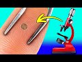 Amazing Microscopic World! Common Objects Under The Microscope || HOME EXPERIMENTS