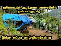 நடுக்காட்டில் தனியாக வாழும் ஒரு பாட்டியின் வீட்டை தேடி... #westernghats #nature #travel #tribes