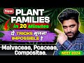 New PLANT FAMILIES With Tricks🔥 Malvaceae,Poaceae,Asteraceae | Neet 2024