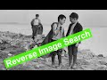 Reverse Image Search | How to Use Tineye
