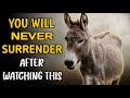 YOU WILL NEVER SURRENDER IN LIFE, AFTER WATCHING THIS | Short motivational story | @wordsofwisdomstories