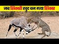 जब शिकारी पर भारी पड़ा शिकार | 10 Moments When Predators Failed