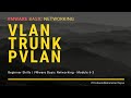 VMware Basic Networking Distributed Switch | VLAN, TRUNK, PVLAN Module 6-3