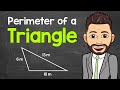 How to Find the Perimeter of a Triangle | Math with Mr. J