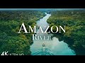 The Amazon River (4K UHD)- Pink Dolphins Is One of The worlds Largest River|Scenic Relaxation Film