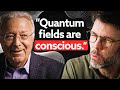 Quantum Information Panpsychism Explained | Federico Faggin