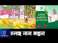 আওয়ামী লীগের সম্মেলন ঘিরে তৃণমূলে উৎসবের আমেজ ll Awami league Council