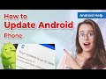 How to Update Android Phone 2024