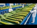 Inside a High-Tech Banana Stem Factory You’ve Never Seen Before