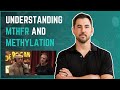 Everything you need to know about MTHFR and Methylation