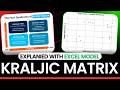 What is Kraljic Matrix ? | Step By Step Excel Example Tutorial | Portfolio Strategy for Procurement