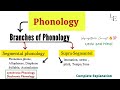 Phonology  | Branches |  Segmental \u0026 Supra -Segmantal | Short Terms #phonology