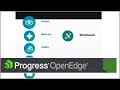OpenEdge: Getting Started with Progress Developer Studio for OpenEdge