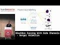 Blackbox Fuzzing With Side Channels by Sergei Volokitin | hardwear.io NL 2022