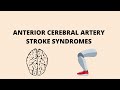 Anterior Cerebral Artery Stroke Syndromes | Anatomy | Clinical Features |