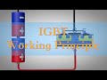 how IGBT works