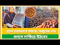 Buy dates for just 230 taka | What is the wholesale price of Badamtali dates | Dates wholesale ma...
