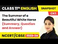 The Summer of a Beautiful White Horse Class 11 (Summary, Question and Answer) | Class 11 English