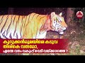 Wayanad Tiger Attack : Why Kerala Forest Officials fear to use their guns?