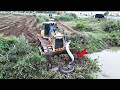 OMG! Bulldozer Clearing Brush 😱 Unexpected Snake Encounter During Land Clearing