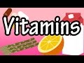 Vitamins - What are Vitamins - Types Of Vitamins - Fat Soluble Vitamins - Water Soluble Vitamins