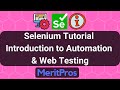 Selenium Tutorial - Introduction to Automation and Web Testing