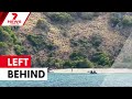 Cruise passenger dies after being left on Lizard Island | 7NEWS
