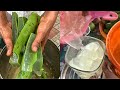 Unique Aloe Vera Drink of Chennai😱😱 ऐसा shake कभी नहीं देखा होगा😳😳 | #ChennaiFood #StreetFood