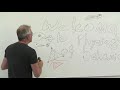 Systems biology course 2018 Uri Alon - Lecture 11 Evolution and Multi-Objective Optimality.
