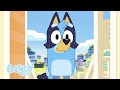 Adult Bluey Visits Home 👀💙 | BRAND NEW CLIP - Surprise 🎾 | Bluey