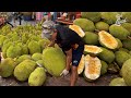 Giant Jackfruit Full Clip - Thai fruit center 💚🫵
