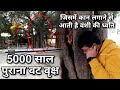 5000 साल पुराना श्री कृष्ण का वट वृक्ष जिसमें बैठकर वह वंशी बजाया करते थे कान लगाने से आती है ध्वनि।
