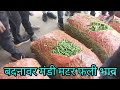 #बदनावर मंडी मटर फली भाव #ग्रीन मटर फली भाव बदनावर मंडी 