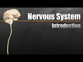 The Nervous System