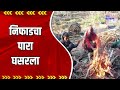Nashik | निफाडचा पारा घसरला | Marathi News