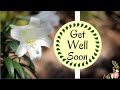 Best Get Well Soon Wishes | Brilliant Uplifting Quotes
