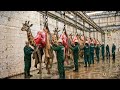 Inside the Giraffe Leather Factory: How Million-Dollar Products Are Made Step by Step