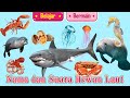 Nama dan Suara Hewan di LAUT | Belajar Nama Binatang