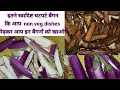 #ChatpateBaingan जिसके आगे non veg भी fail