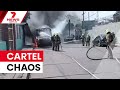 Cartel violence erupts after Mexico's most wanted killed | 7NEWS