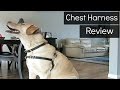 Easy Walk Chest Harness Review