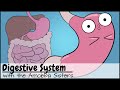 Digestive System