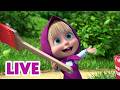 🔴 LIVE STREAM 🎬 Masha and the Bear 🐻👎 Masha Has a New Friend? 👧🥰