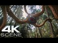 Predator Vs Alien Tentacle Monster (2025) Fight Scene | Predator: Badlands Movie Clip [4K]