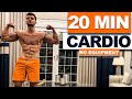 20 Min Perfect Cardio / HIIT Workout // Fat Burning!! (No Equipment) | velikaans