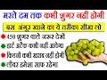 इस तरह अंगूर खाओगे तो मरते दम तक बीमार नहीं पड़ोगे, Grapes Benefits For Health