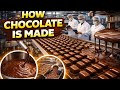 How chocolate is made in a modern factory 