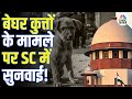 Supreme Court on Stray Dogs | सुप्रीम कोर्ट में आवारा कुत्तों पर सुनवाई, राज्यों ने दायर किए हलफनामे
