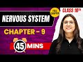 NERVOUS SYSTEM In 45 Mins | Complete Chapter Mind Map | Class 10 ICSE BIOLOGY